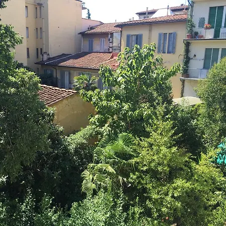 Urban Jungle * Florence