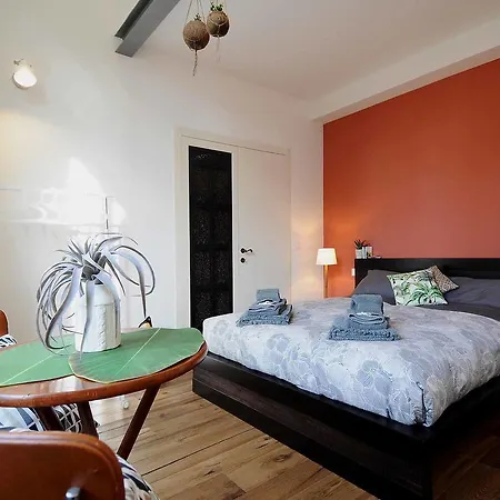 Urban Jungle Guest house